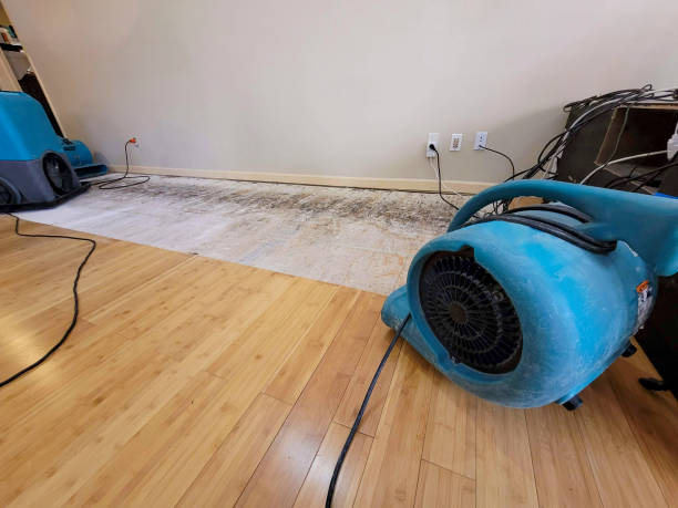 Professional Water Removal technician working in Calera, AL